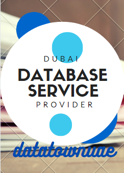 Dubai Database provider